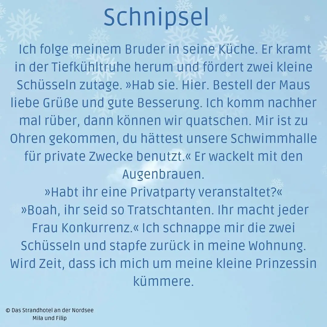 12.01.2024: Schnipsel 1 des Strandhotel an der Nordsee blauer Hintergrund mit Eissternen,
darauf in dunkelblau der Schnipseltext des Roman Das Strandhotel an der Nordsee
